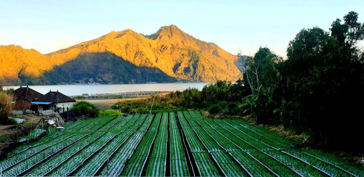 Volcano Lake View Kintamani Εξωτερικό φωτογραφία